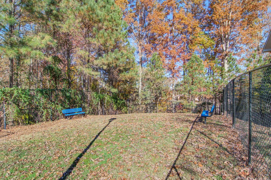 Ashford at Spring Lake apartments in Atlanta Georgia photo of dog park