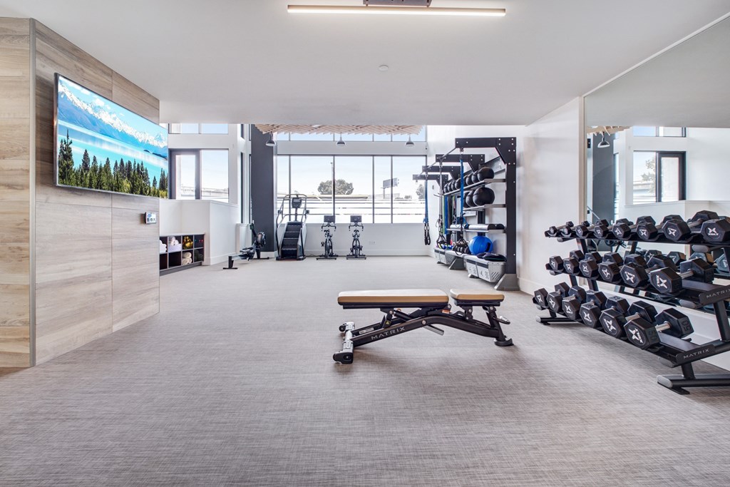 a gym with weights and a bench and a tv on the wall