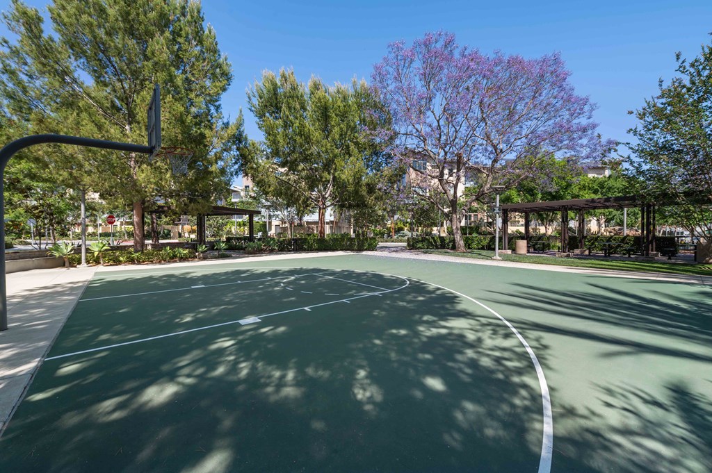 a basketball court in a park with trees