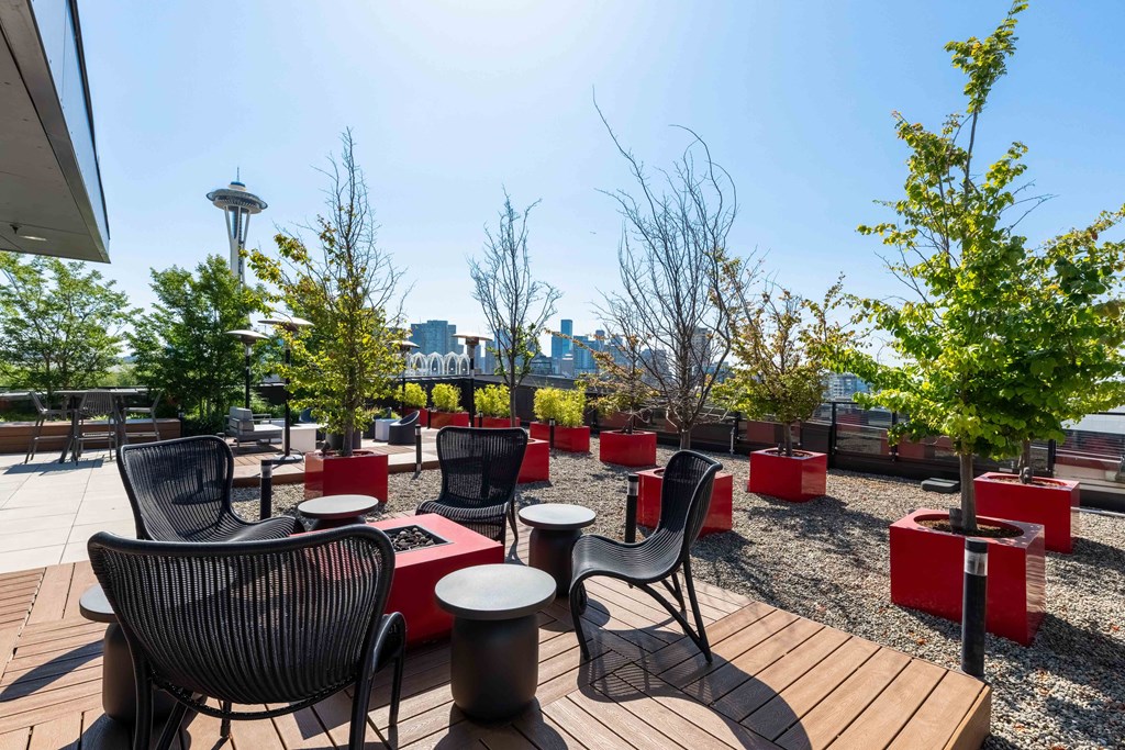 Rooftop Patio at Astro Apartments, Seattle, Washington