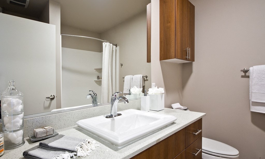 a bathroom with a sink and a mirror and a toilet at Astro Apartments, Seattle, WA, 98109