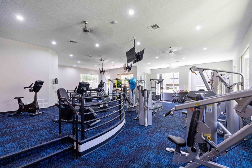 a gym with cardio equipment and weights on a blue rug
