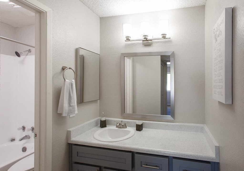 a bathroom with a sink and a mirror and a shower