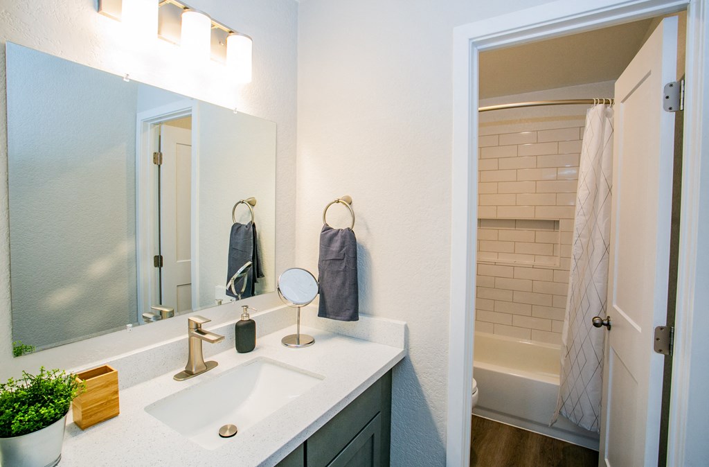 a bathroom with a sink and a mirror and a shower