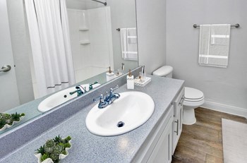 764 East Twain Ave 1-2 Beds Apartment for Rent - Photo Gallery 6