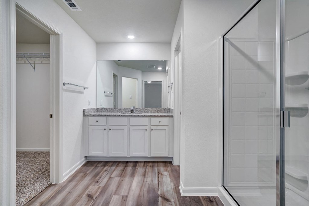 a bathroom with a shower and a sink and a mirror