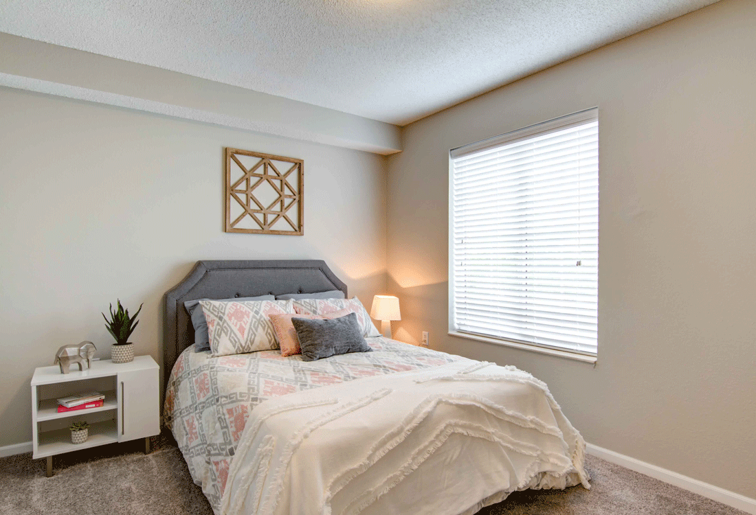 Lots of natural light in apartment