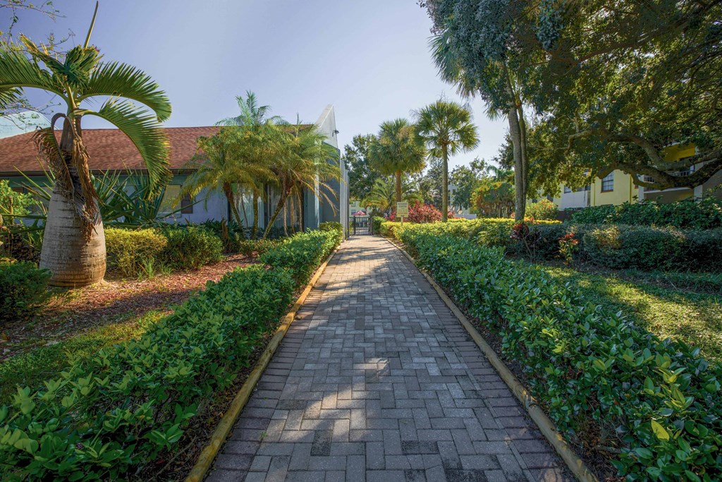 Apartments in Tampa, FL 33604 for Rent – Belara Lakes - photo of walkway to leasing office surrounded by green bushes