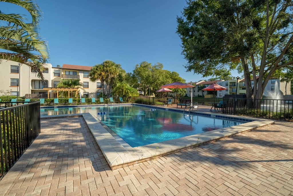 Resort-style swimming pool at Belara Lakes apartments near Egypt Lake / Lowry Park in Tampa, Florida