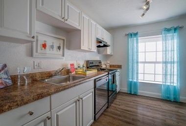 Belara Lakes Apartments in Tampa Florida photo of kitchen
