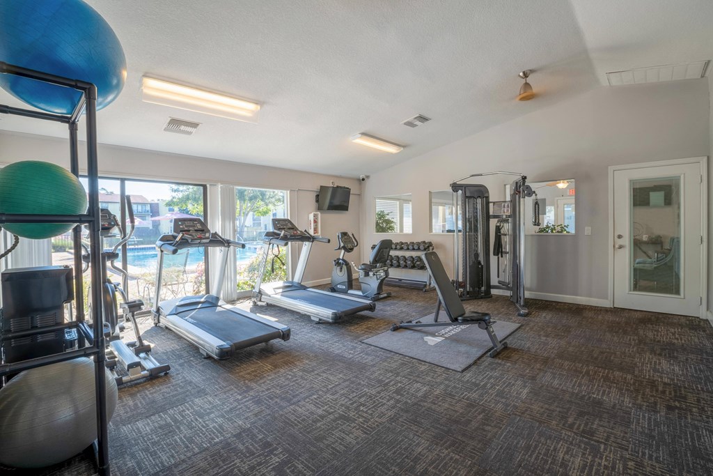 Pet-Friendly Apartments in Tampa, FL– Belara Lakes – fitness center with cardio and strength training equipment