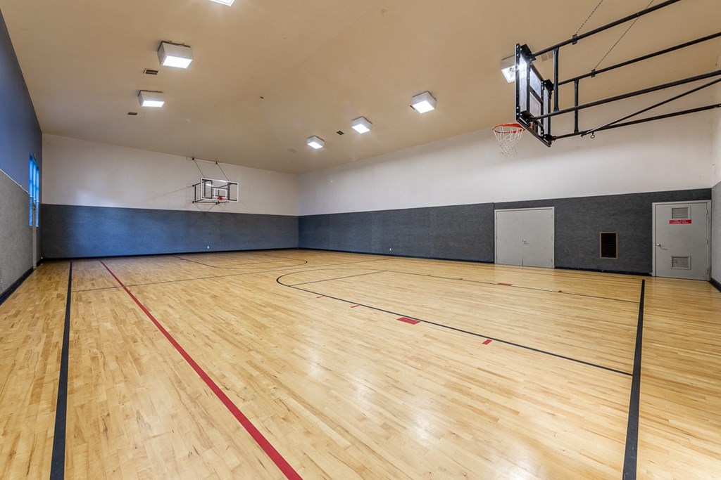 Basketball Court