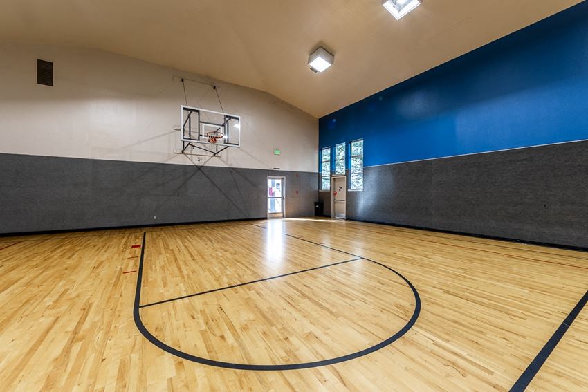 Basketball Court - Photo Gallery