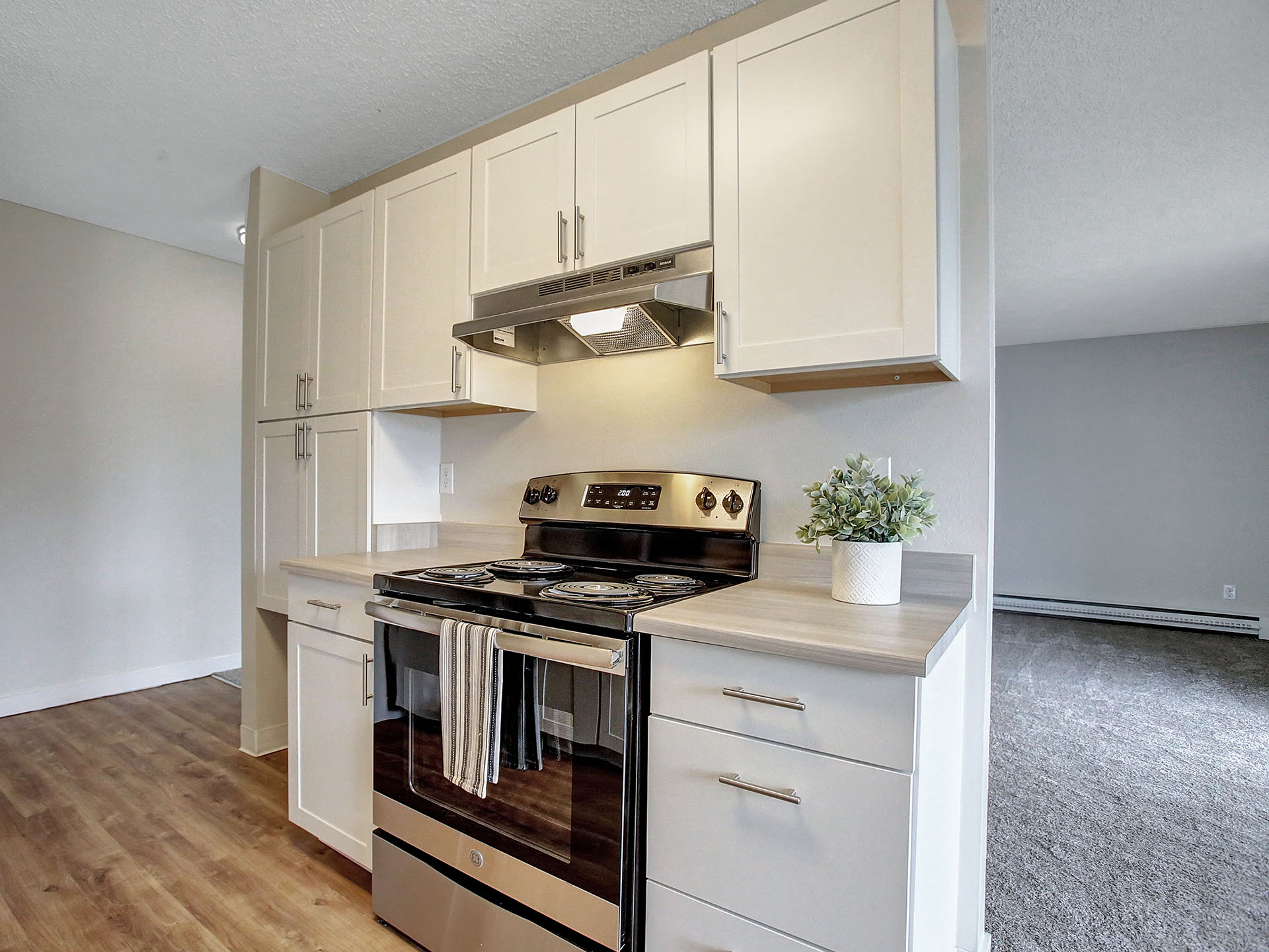 updated kitchen with stainless steel appliances