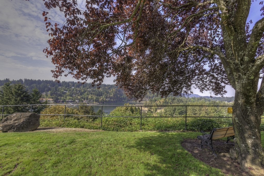 greenery with water view