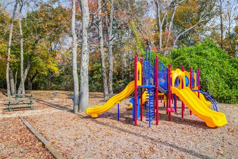 Outdoor playground for residents at Brookview apartment community near Atlanta-Sandy Springs-Roswell in Douglasville, GA
