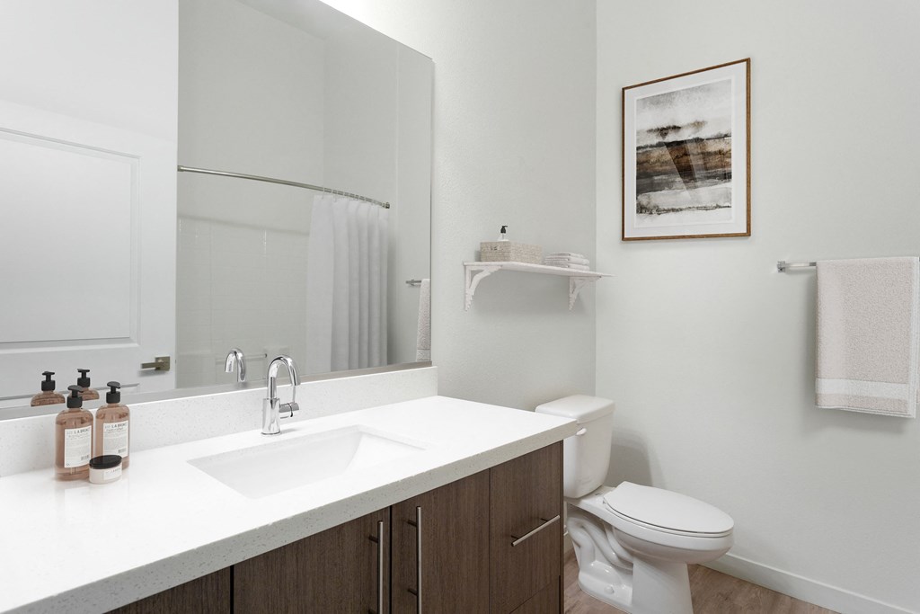 a bathroom with a sink and a toilet and a mirror