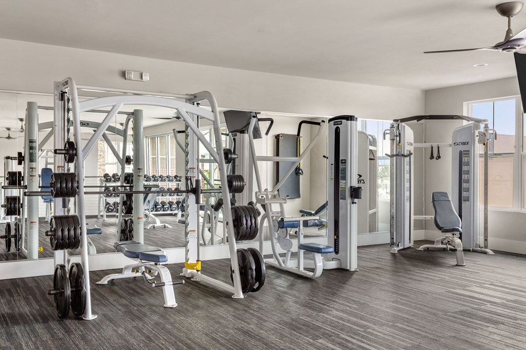 a gym with weights and cardio equipment in a home