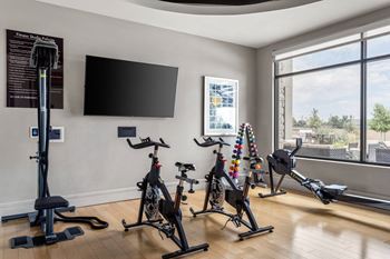 Fitness-on Demand Virtual Trainer