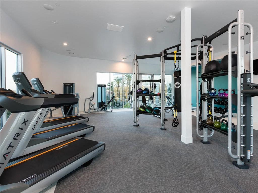 a gym with treadmills and weights in a modern home