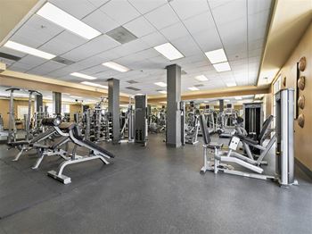 24 Hour Fitness Center with Precor Equipment and Free-Weights