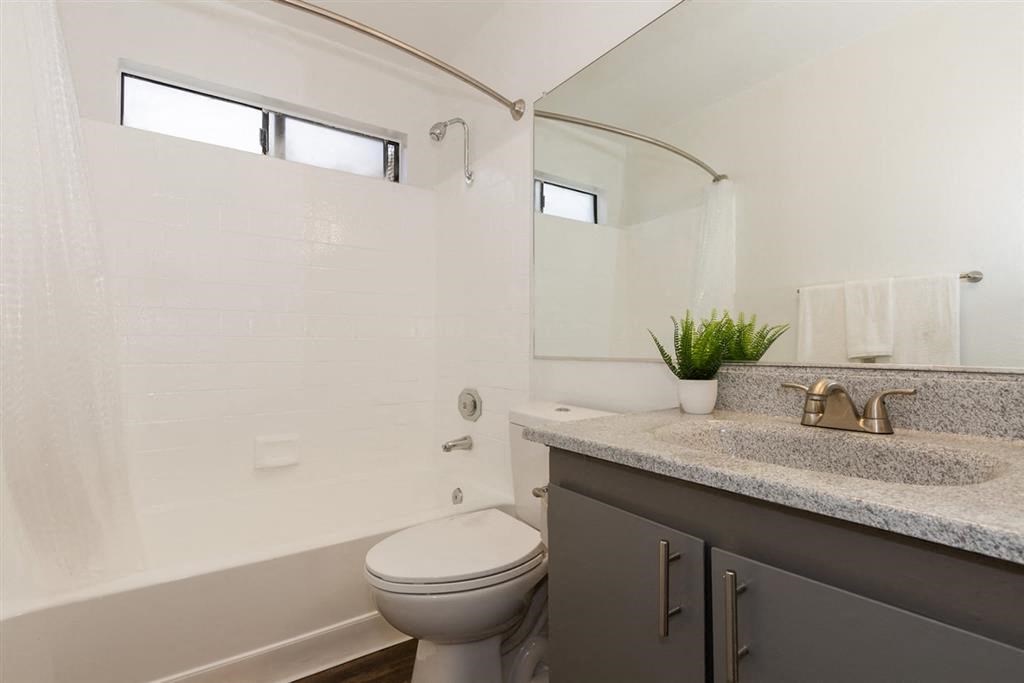 a bathroom with a sink and a toilet