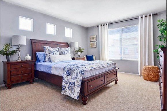 bedroom with 4 windows - Photo Gallery