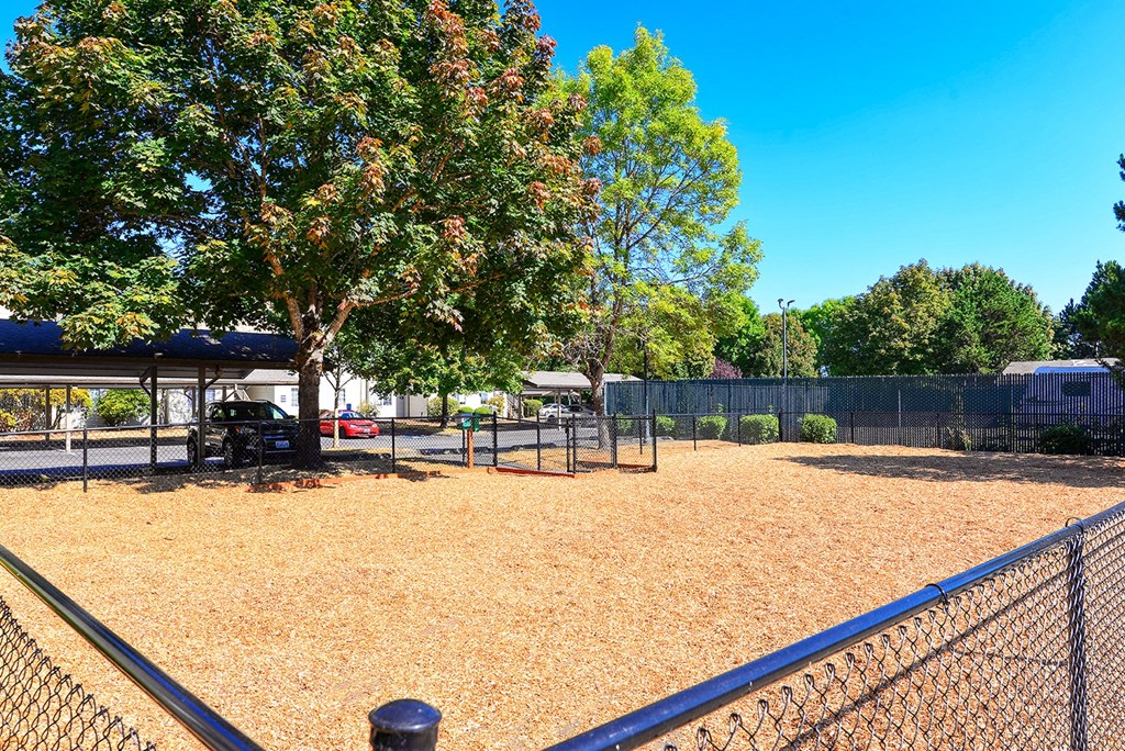 a fenced in dog park with a tree and a fence