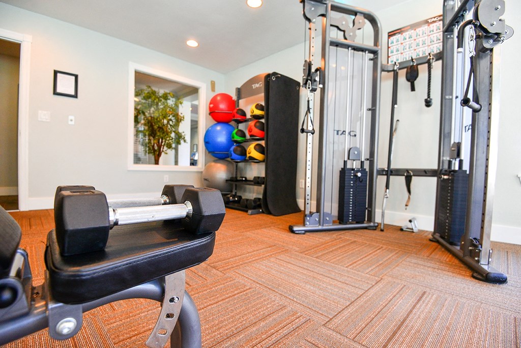 the gym at the at the boulevard apartments in