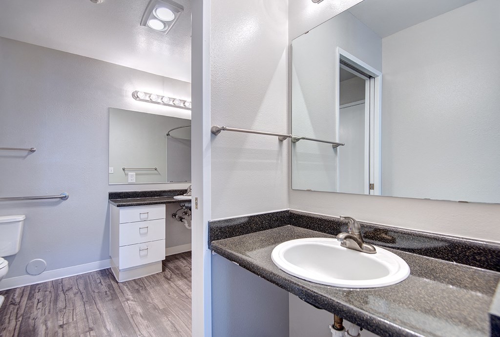 a bathroom with a sink and a mirror