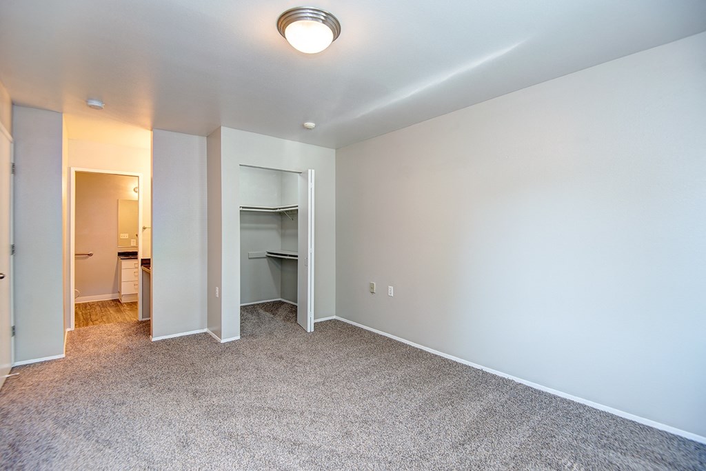 an empty living room with carpet and a closet