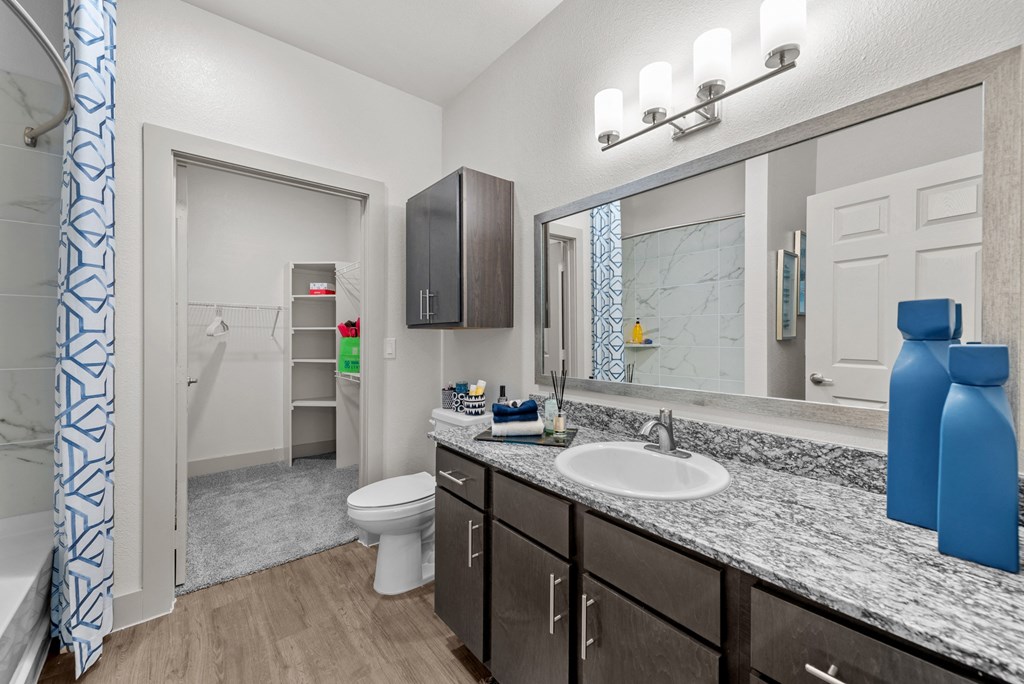 a bathroom with a sink and a toilet and a mirror