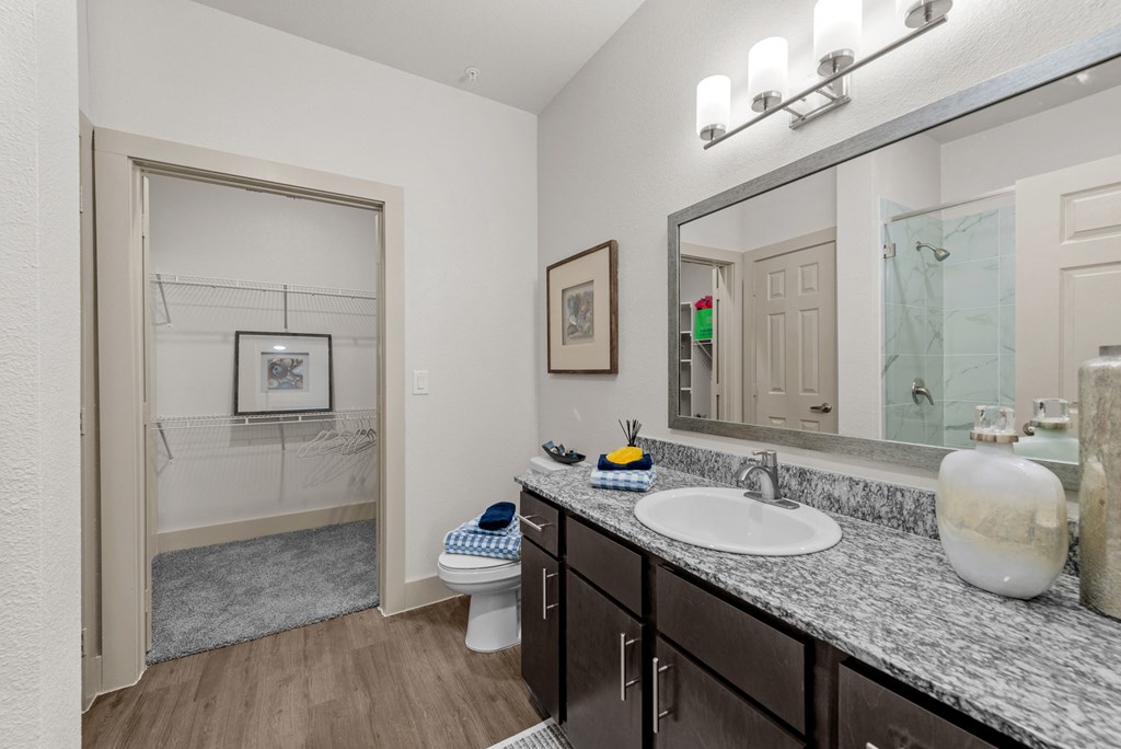 a bathroom with a large mirror and a sink and a toilet