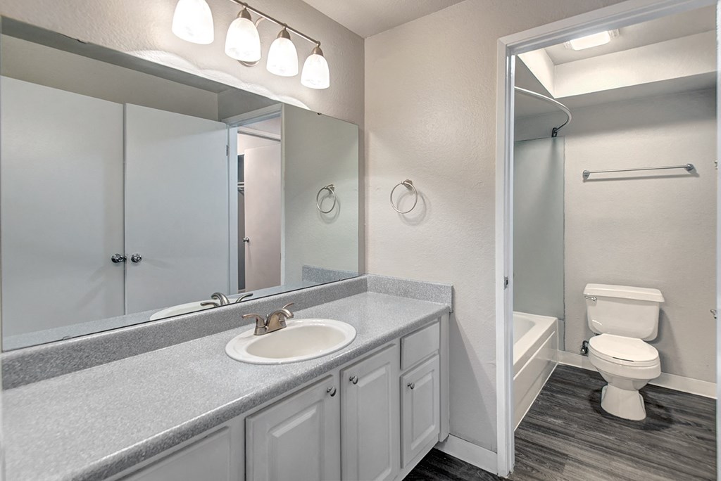 a bathroom with a sink and a toilet and a mirror