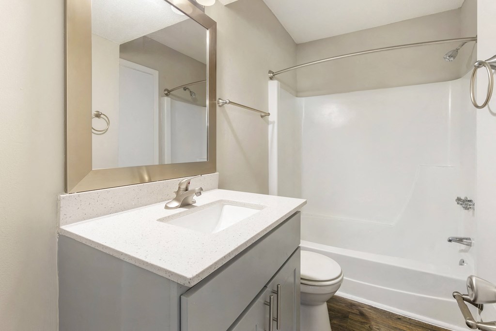 a bathroom with a sink and a shower and a mirror