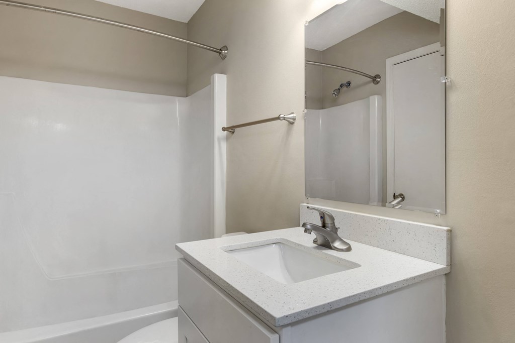 a bathroom with a sink and a mirror and a shower