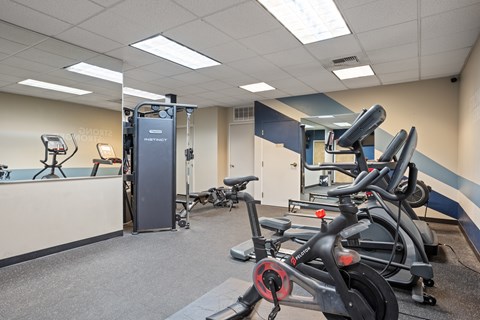 A gym with a row of stationary bikes and a treadmill.