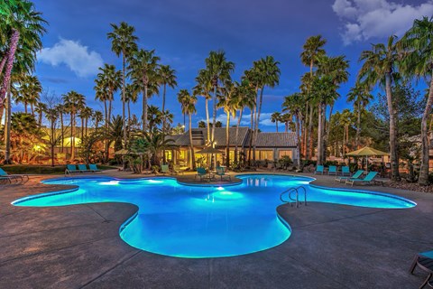 A large swimming pool surrounded by palm trees and lounge chairs.