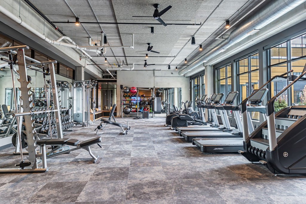 Apartments for Rent in Bloomington, MN - Carbon31 - Fitness Center with Treadmills, Training Machines, Weight Lifting Equipment, Large Windows, and Ceiling Fans