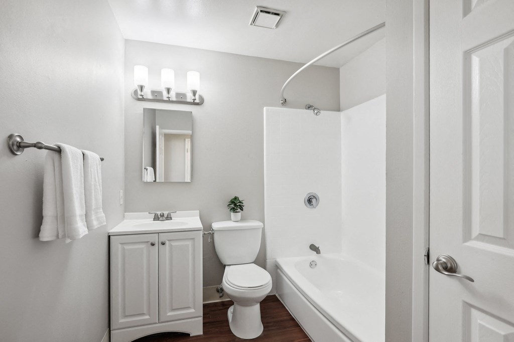 a bathroom with a shower toilet and a sink