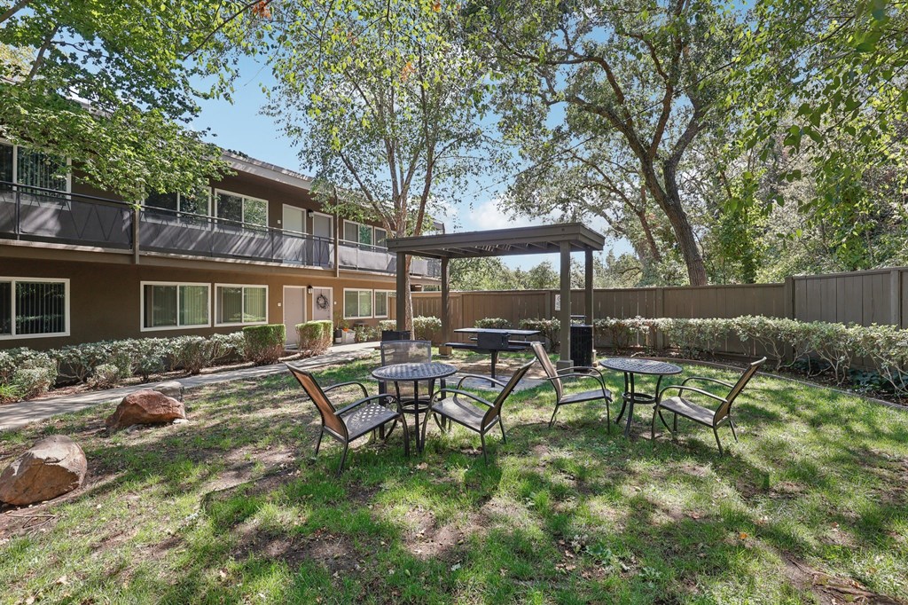 Pet-Friendly Apartments in Walnut Creek, CA - Carmel House - Tree-Shaded Courtyard with Outdoor Furniture, Lush Landscaping, and BBQ Area Under Pergola.
