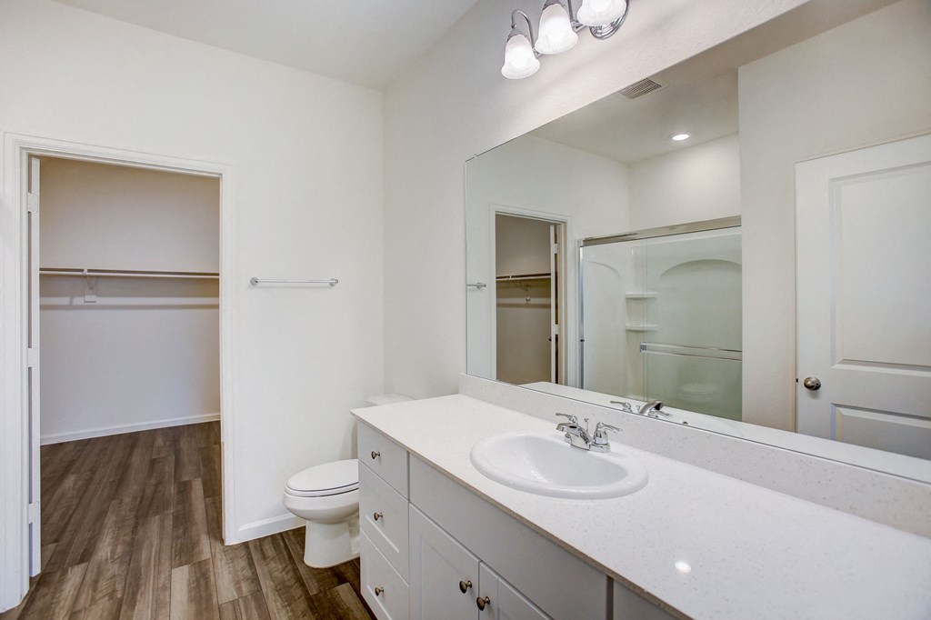 a bathroom with a sink and a mirror and a toilet