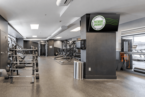 A gym with a variety of equipment including weights and cardio machines.