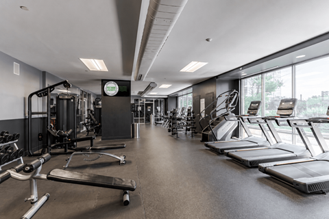 A gym with treadmills, weights, and other exercise equipment.