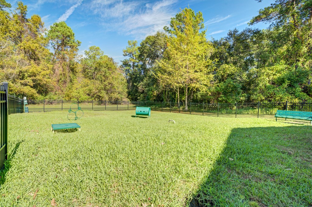 Chelsea Apartments in Gainesville Florida photo of leash-free dog park