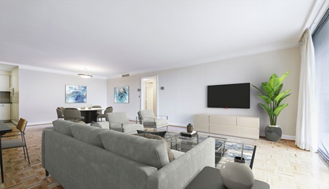 A living room with a grey couch and a black television.