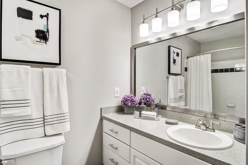 a bathroom with a sink and a mirror and a towel rack