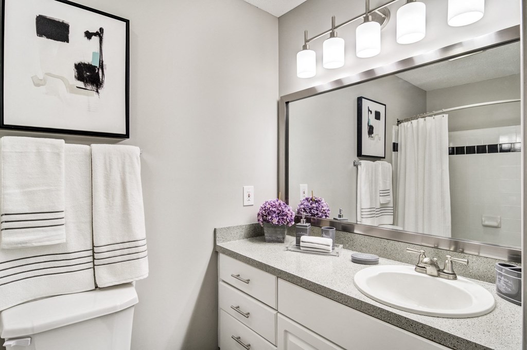 a bathroom with a sink and a mirror and a towel rack