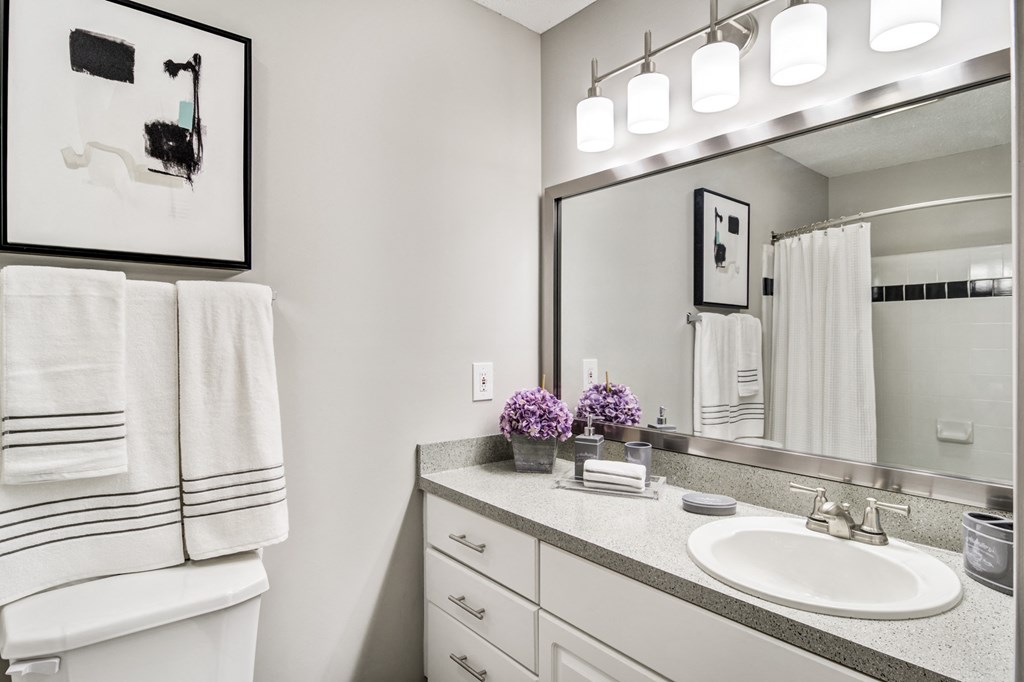 Chroma Park apartments in Austell Georgia photo of upgraded bathroom