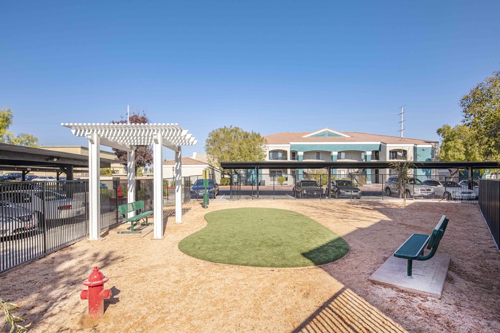 a fire hydrant sits in the middle of a dog park